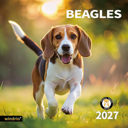 2026 2027 wall - 2026-2027, calendar