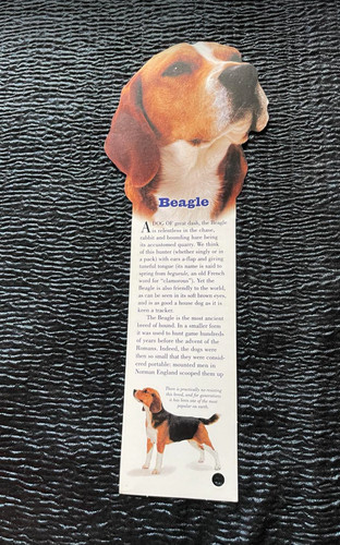 Beagle dog themed - dog,