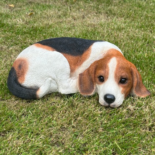 Realistic beagle dog - realistic, laying