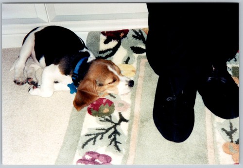 Vtg color snapshot - color,