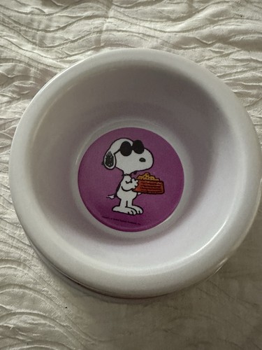 Peanuts snoopy joe cool pet - snoopy,