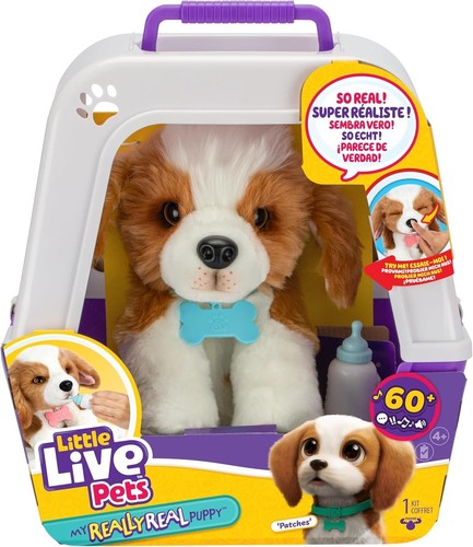 Little live pets really - little,