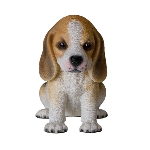 Beagle puppy 6 - beagle, inch