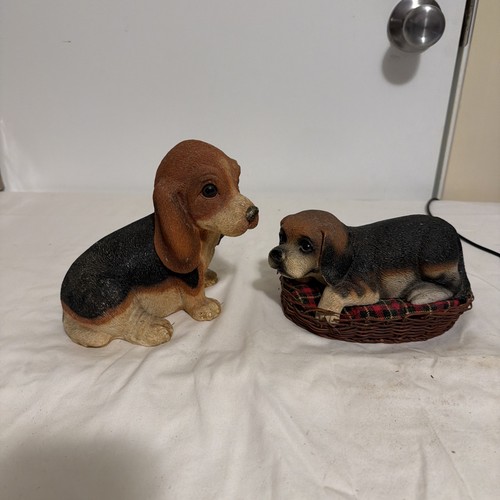 Adorable crouching tri color - crouching,