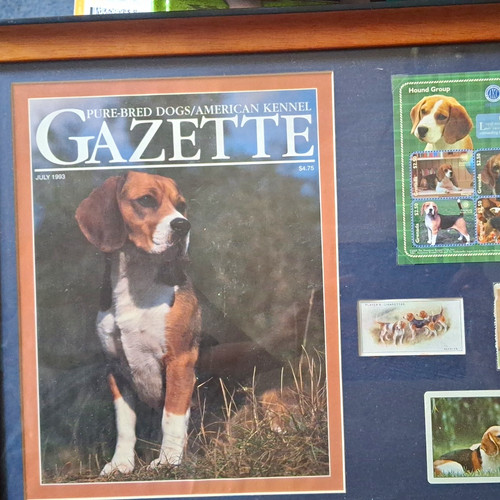 Beagle framed collectibles - beagle,