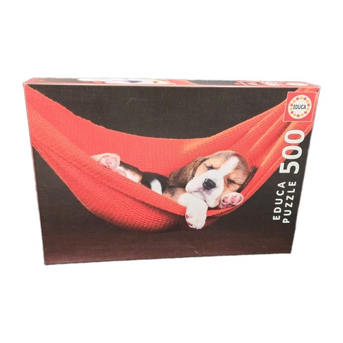 Sleeping beagle puppy - sleeping, in