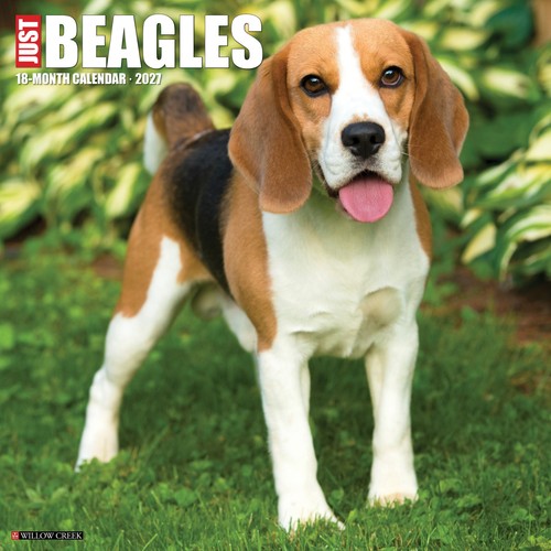 Beagles 2027 12 wall - 2027, x