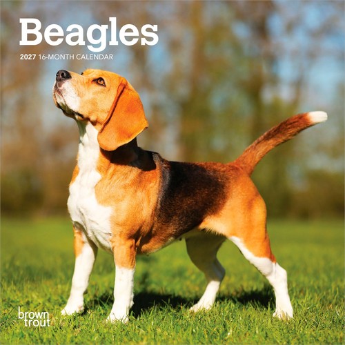 Beagles 2027 7x14 - beagles, (hanging)