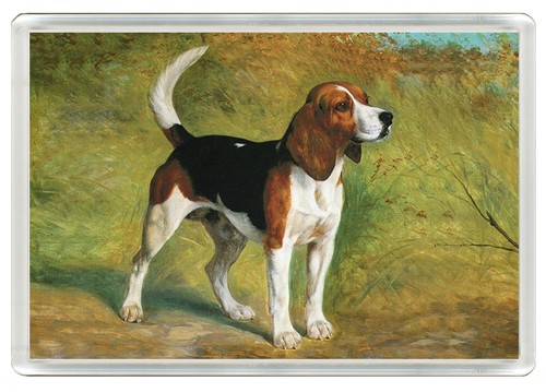 Beagle hound dog fridge - beagle,