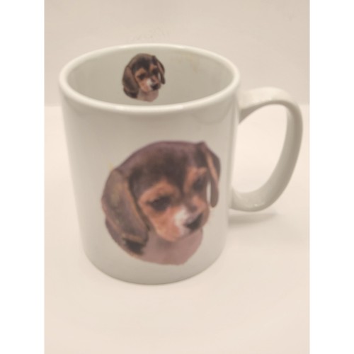 Beagle puppy dog breed - beagle,
