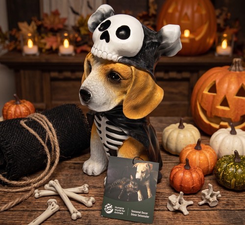 Humane society world for - humane,