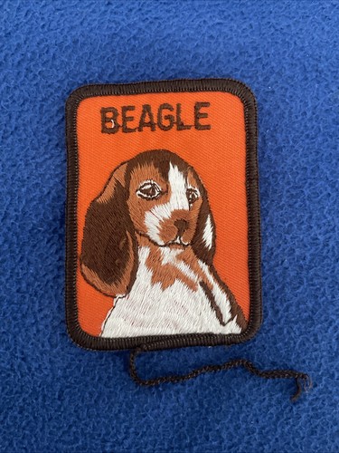 Vintage beagle dog breed - beagle,