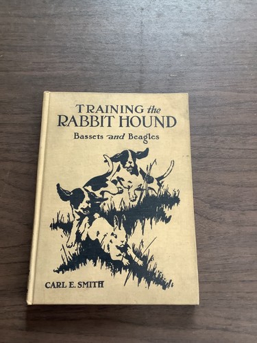 Training the rabbit hound - training,