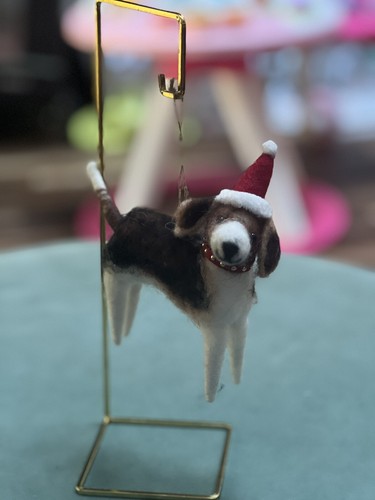 Coon dog hound beagle - dog, walker