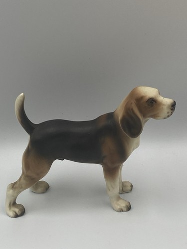 Vintage beagle hound hunting - vintage,