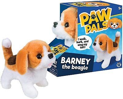 Paw pals barney the - paw,