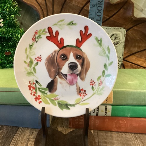 Holly hill beagle dessert - hill,