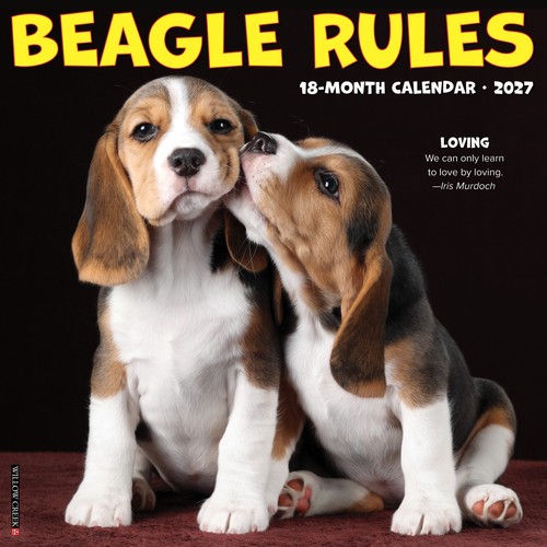 Beagle rules 2027 - rules, 12"