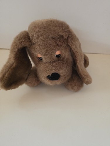 Brown basset hound beagle dog - basset,
