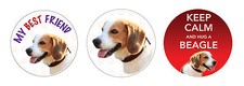 2 x Beagle Dog vinyl car, van