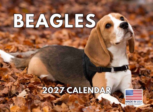 Beagle calendar 2027 beagles - calendar,