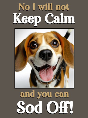Beagle pet dog funny flexible - beagle,