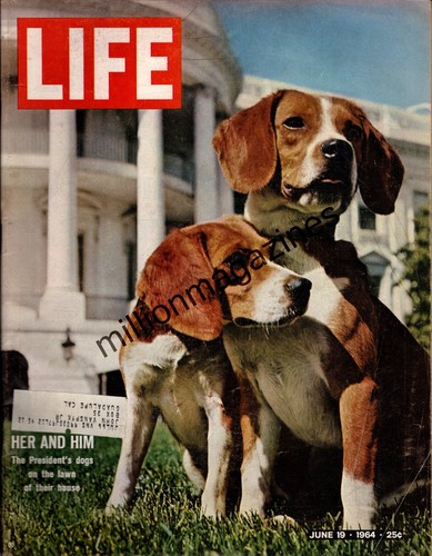 1964 life june lbj s - life,