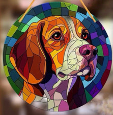 BEAGLE FOXHOUND LARGE Dog