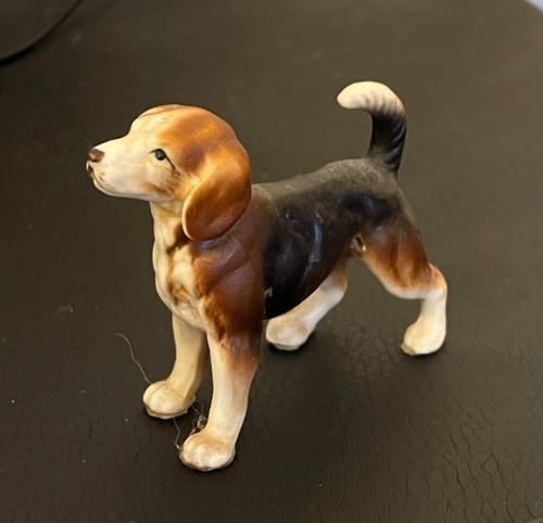 Tri color beagle harrier - color,