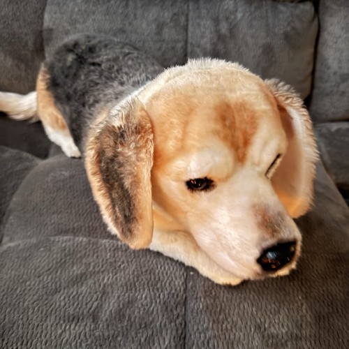 Cuddle clones beagle - cuddle,