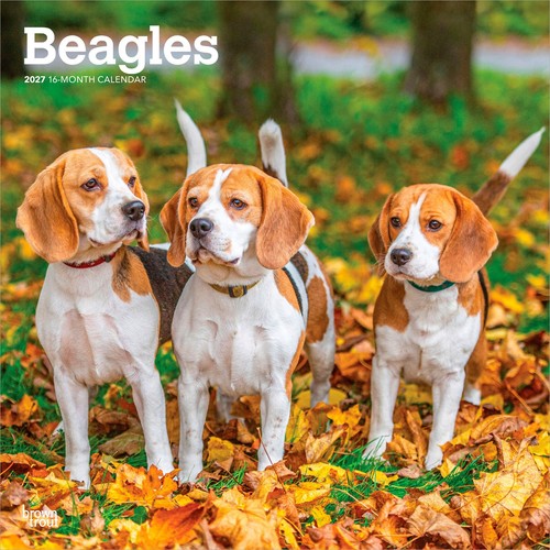 Beagles 2027 12x24 - 2027, 12x24"