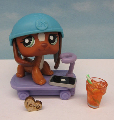 Littlest pet shop - littlest, rare