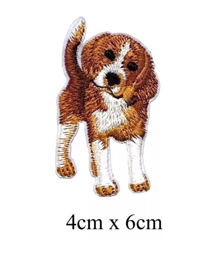 Beagle dog domestic animal - dog,