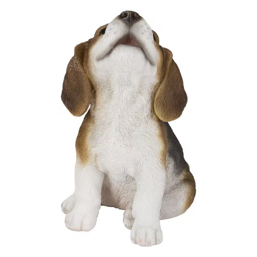 Beagle puppy howling - puppy,