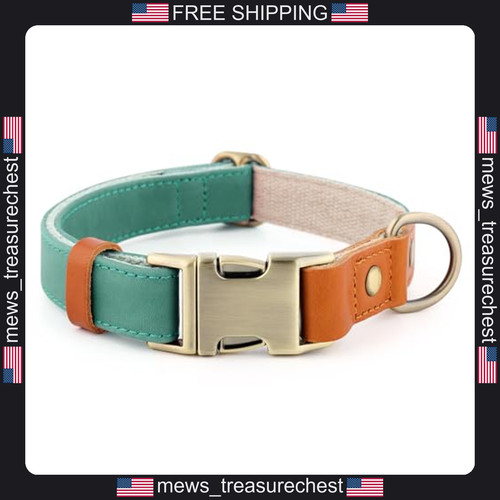 Dog collar genuine leather - dog,