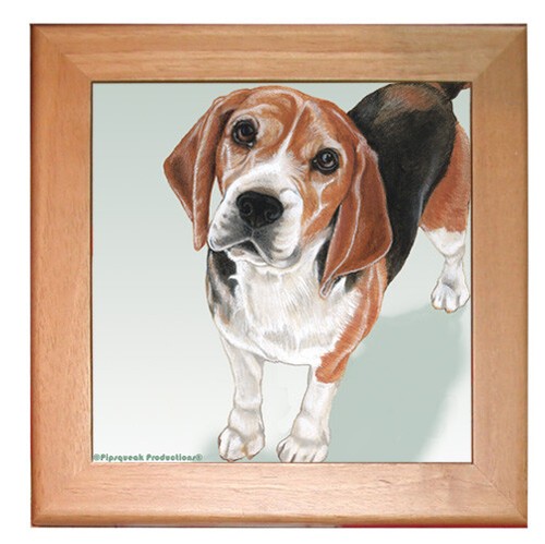 Beagle dog kitchen ceramic - beagle,