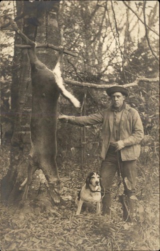 Windham hunting trophy h - hunting,