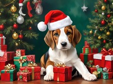 Beagle Christmas Greeting Card