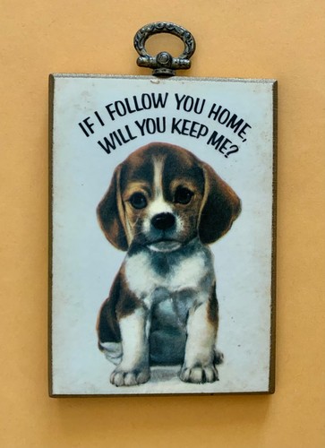 Adorable beagle puppy - puppy, “if