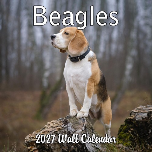 2027 beagles monthly wall - beagles,