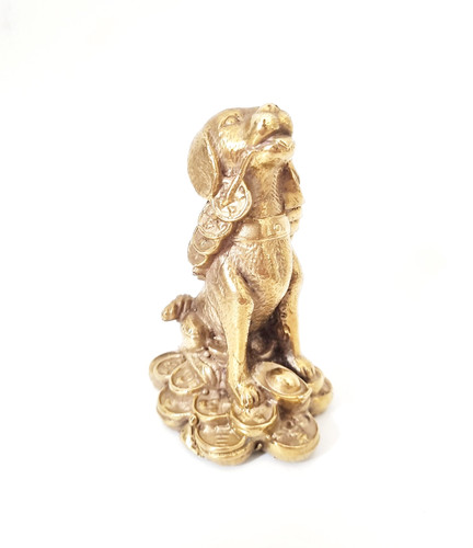 Gold animal dog beagle - animal,