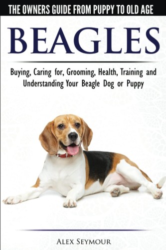 Beagles the owner - -,