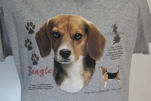 Beagle dog breed shirt new - dog, t