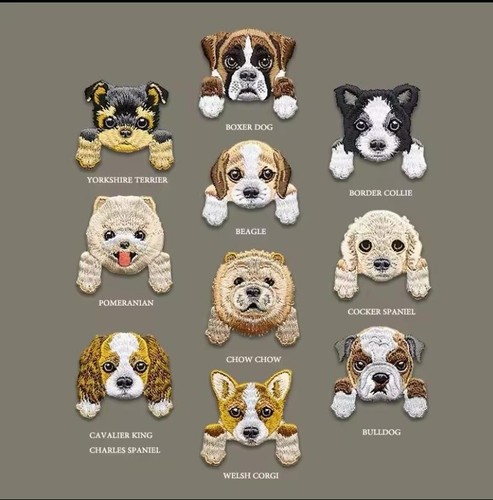 Dog puppy breed - puppy, patch