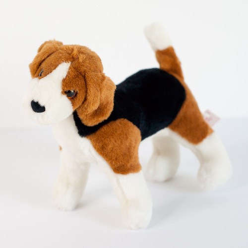 Douglas bob beagle - bob, dog