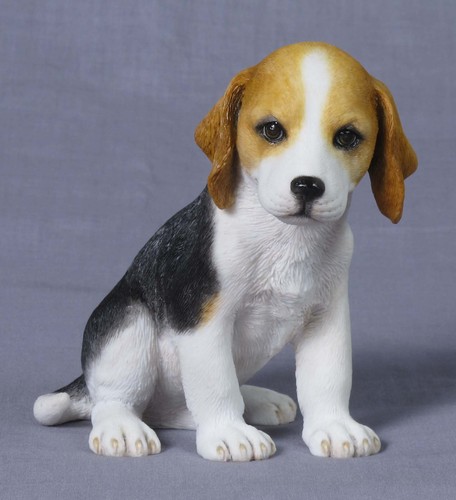 Unknown inch beagle puppy - 4.25,