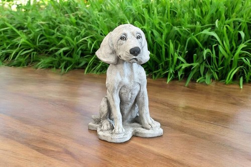 Beagle dog concrete - dog, garden