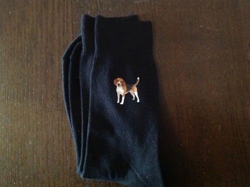 Beagle printed socks - socks, dog