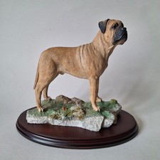BULL MASTIFF Best Of Breed