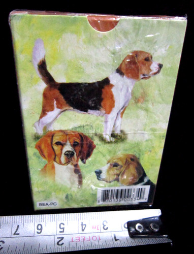 New beagle playing cards - playing, deck